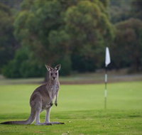 Anglesea Golf Club - Events Australia