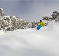 Mt Buller and Mt Stirling Alpine Resort - Events Australia