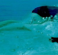 Muse - Events Australia