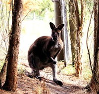 Great Ocean Road Wildlife Park - Events Australia