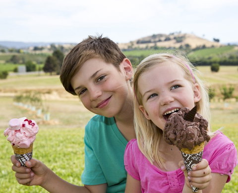 Yarra Valley Chocolaterie & Ice Creamery - Events Australia 6