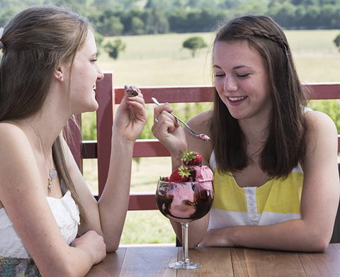 Yarra Valley Chocolaterie & Ice Creamery - Events Australia 8