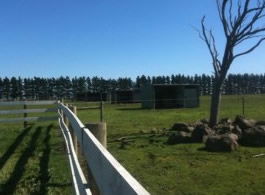 Saddle On Riding School - Events Australia 6