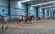 Saddle On Riding School - thumb 7