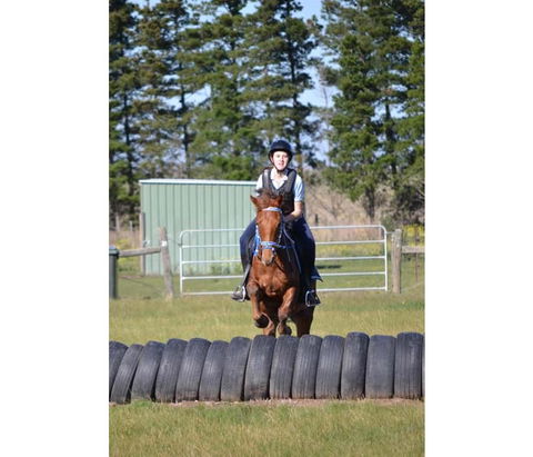 Saddle On Riding School - Events Australia 9