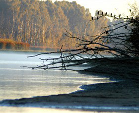 Barmah National Park - Events Australia 0