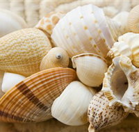 Anglesea Beach Club - Events Australia