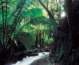 Melba Gully - Events Australia 0