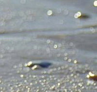 Cape Liptrap Coastal Park - Events Australia