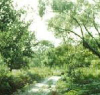 Holey Plains State Park - Events Australia