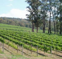 Piedmont Vineyard - Events Australia