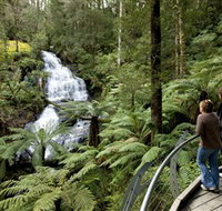 Great Otway National Park - Events Australia