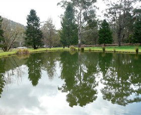 Mountain Fresh Trout And Salmon Farm - Events Australia 0