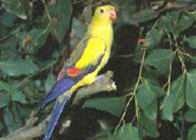 Broughton VIC Events Australia