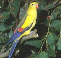 Lake Hindmarsh Reserve - Events Australia