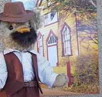Stanley Bears - Events Australia