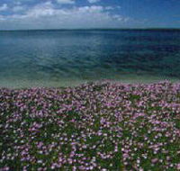 The Lakes National Park - Events Australia