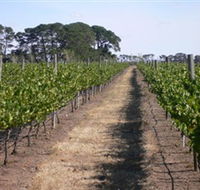 Mount Beckworth Wines - Events Australia