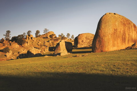 Fowles Wine - Tourism Bookings 3