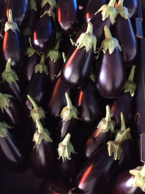 Main Street Market Mornington - Tourism Bookings 3