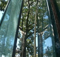 Sydney Sculpture Walk - Events Australia