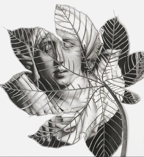 Wollongong Art Gallery - Events Australia 2