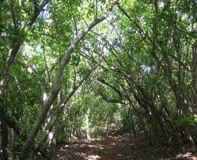 Eucalypt Trail - Accommodation Europe 0