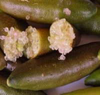 Sandy Creek Olives and Finger Limes - Events Australia