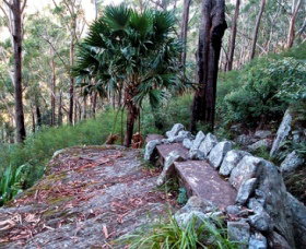 Wodi Wodi Walking Track - Events Australia 0