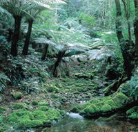 Deua National Park - Events Australia