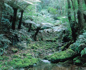 Deua National Park - Events Australia 0
