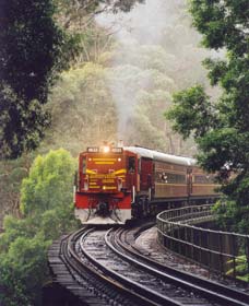 Cockatoo Run - Scenic Tour Train Operated By 3801 Limited - Events Australia 0