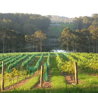 Tilba Valley Wines - Tourism Bookings