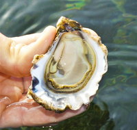 The Oyster Pot - Events Australia