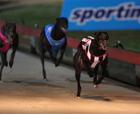 Dapto NSW Events Australia