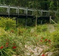 Eurobodalla Botanic Gardens - Events Australia