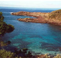 Bass Point Reserve - Events Australia