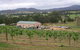 Villa D Esta Vineyard - thumb 0