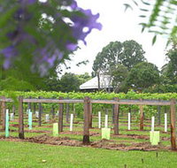 Douglas Vale Historic Homestead  Vineyard