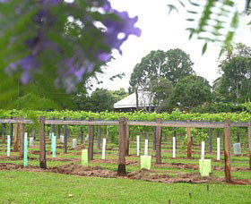 Douglas Vale Historic Homestead & Vineyard - Events Australia 0