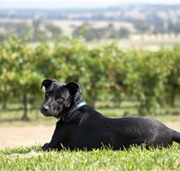 Moothi Estate Vineyard and Cellar Door - Events Australia