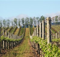 Philip Shaw Wines - Events Australia