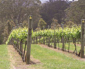 Diamond Creek Estate Cellar Door - Events Australia 2