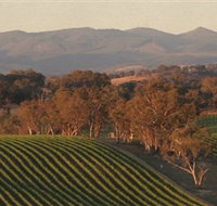 Angullong Wines - Events Australia