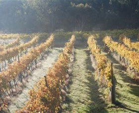 Twisted Gum Wines - Events Australia 1