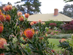 Lavina Wines - Events Australia 3