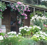 Lavina Wines - Events Australia