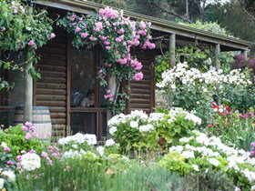 Lavina Wines - Events Australia 0