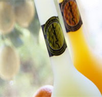 Ambra Limoncello - Tourism Bookings