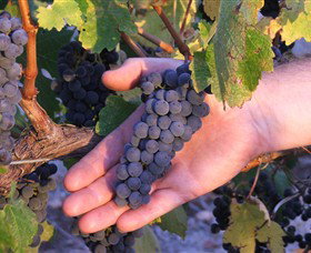 Russells Bridge VIC Events Australia